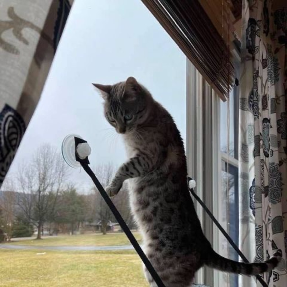 Meet your Posher, Rochelle